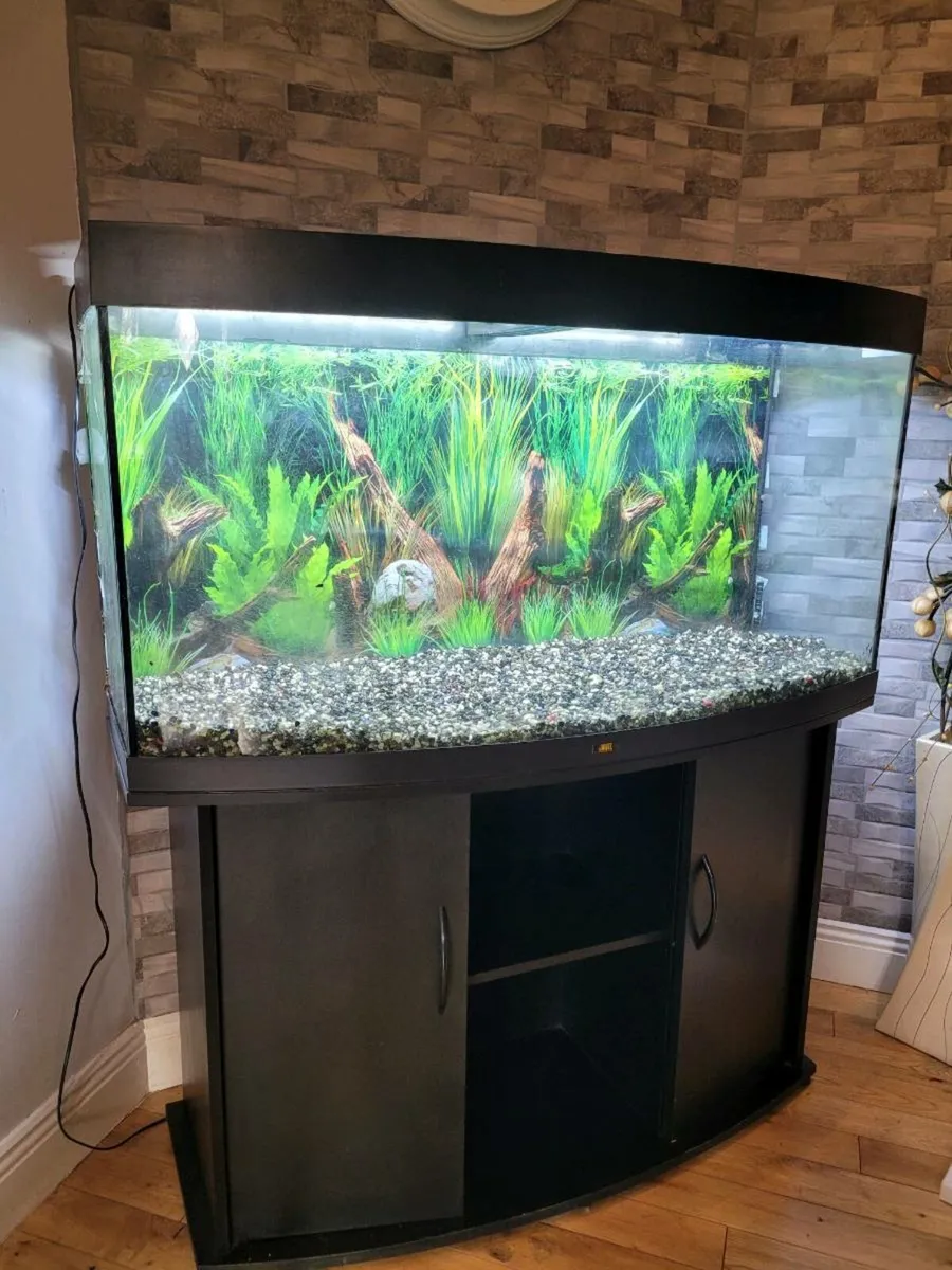 Juwel vision 260 fish tank/caninet/lights/air pump - Image 3