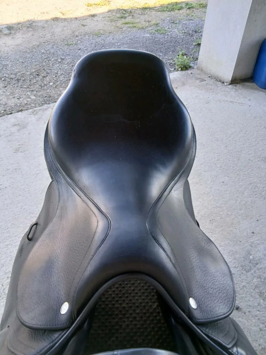 Cwd saddle - Image 1