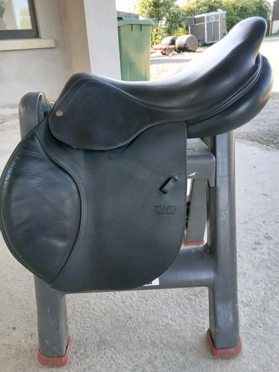 Cwd saddle - Image 2