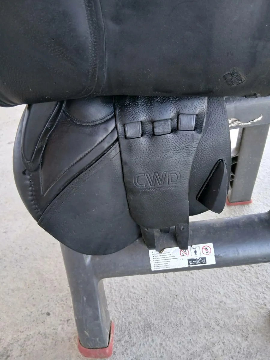 Cwd saddle - Image 3