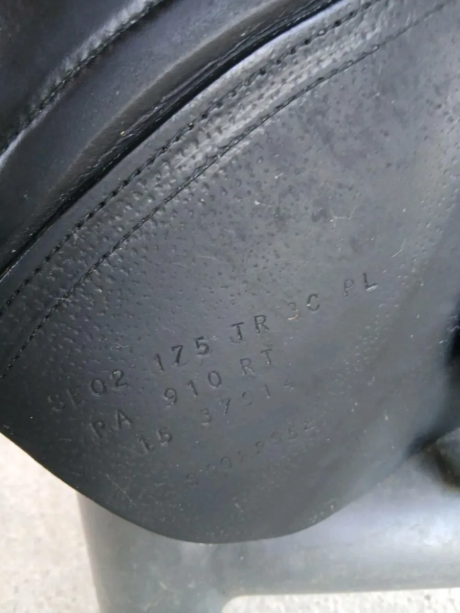 Cwd saddle - Image 4
