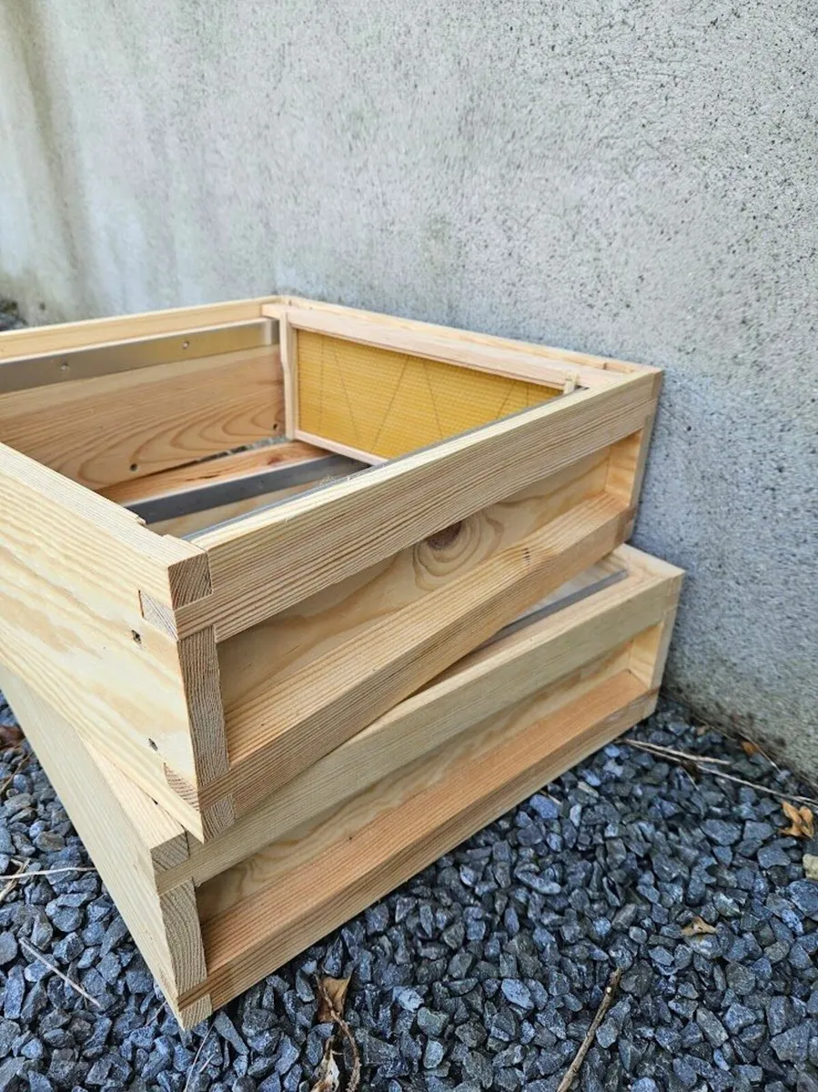 National honey super bee hive - Image 1