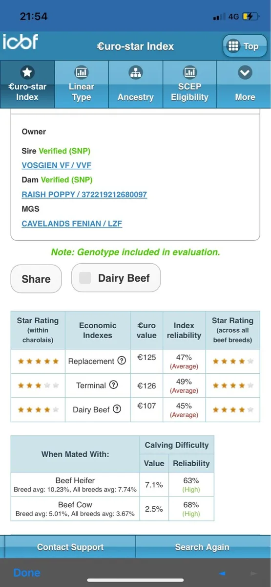 Super PBR Charolais Bull for Macroom Bull Sale - Image 4