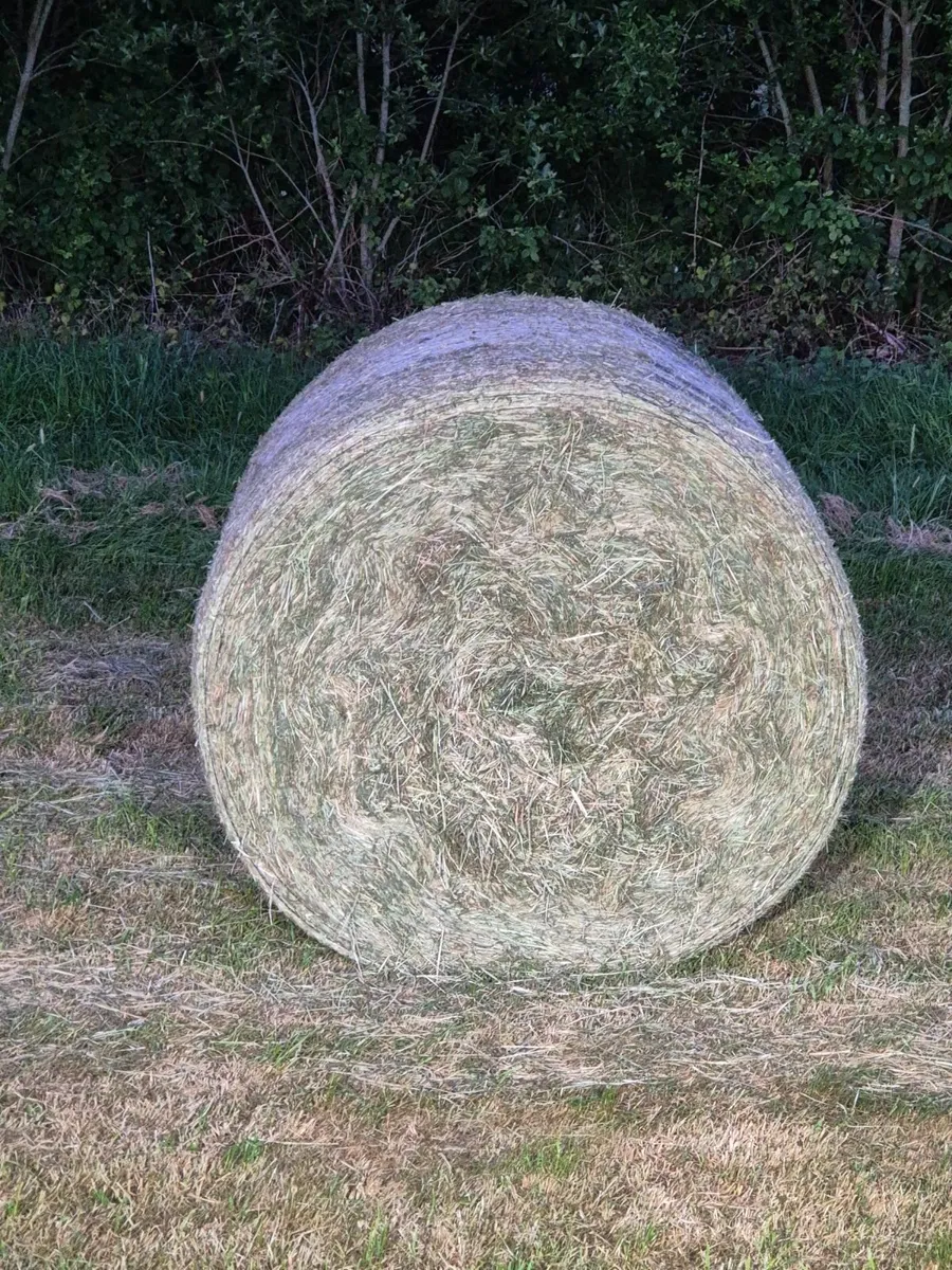 16 bales of top quality May hay