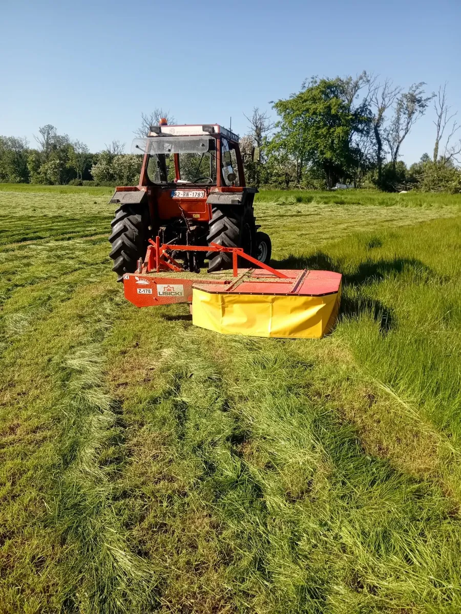 Rotary mower - Image 1