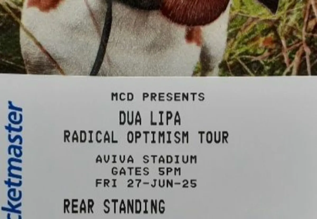 Dua lipa tickets - Image 3