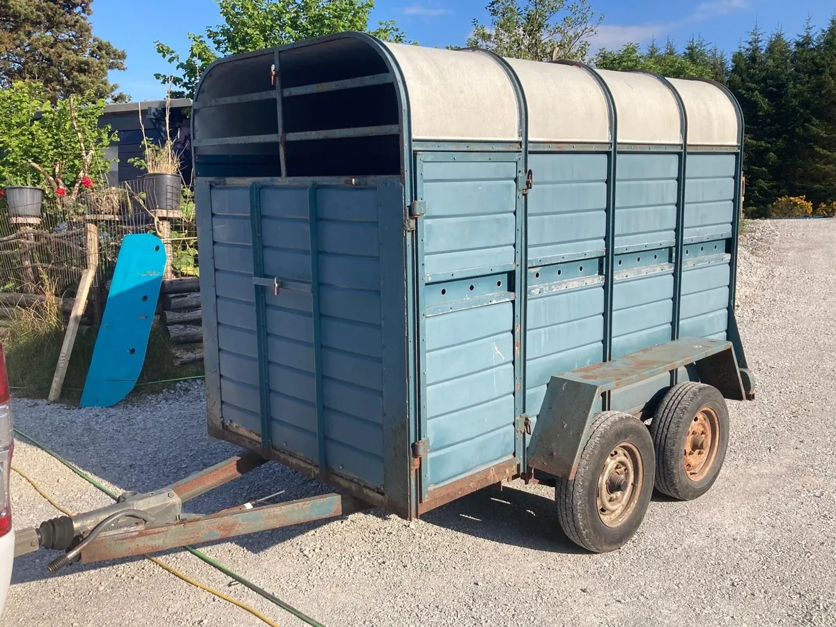 Stanley cattle trailer - Image 2