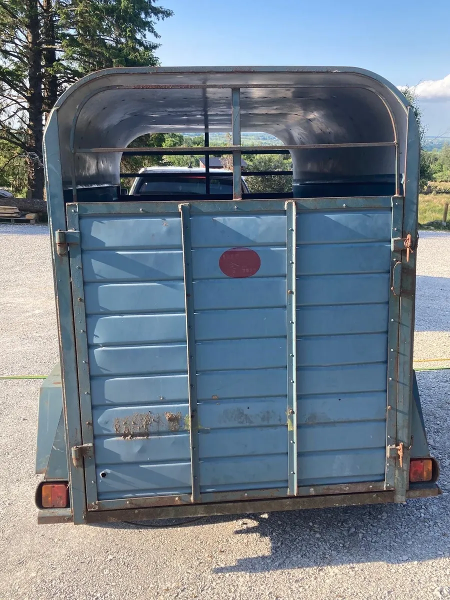 Stanley cattle trailer - Image 3