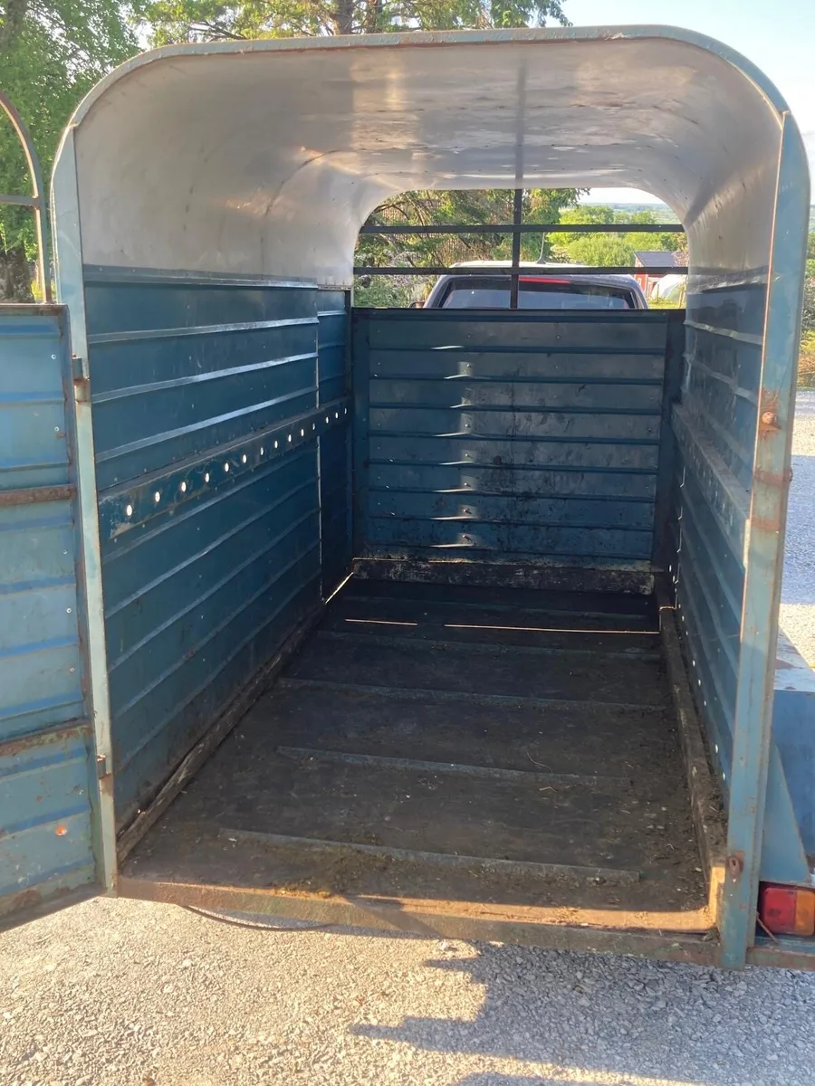Stanley cattle trailer - Image 4