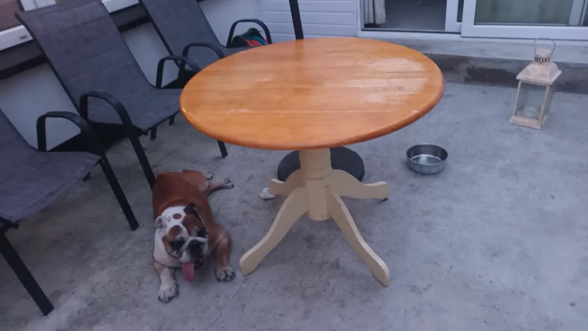 Table and decking - Image 2