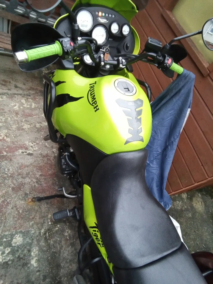 Triumph Other 2002 - Image 2