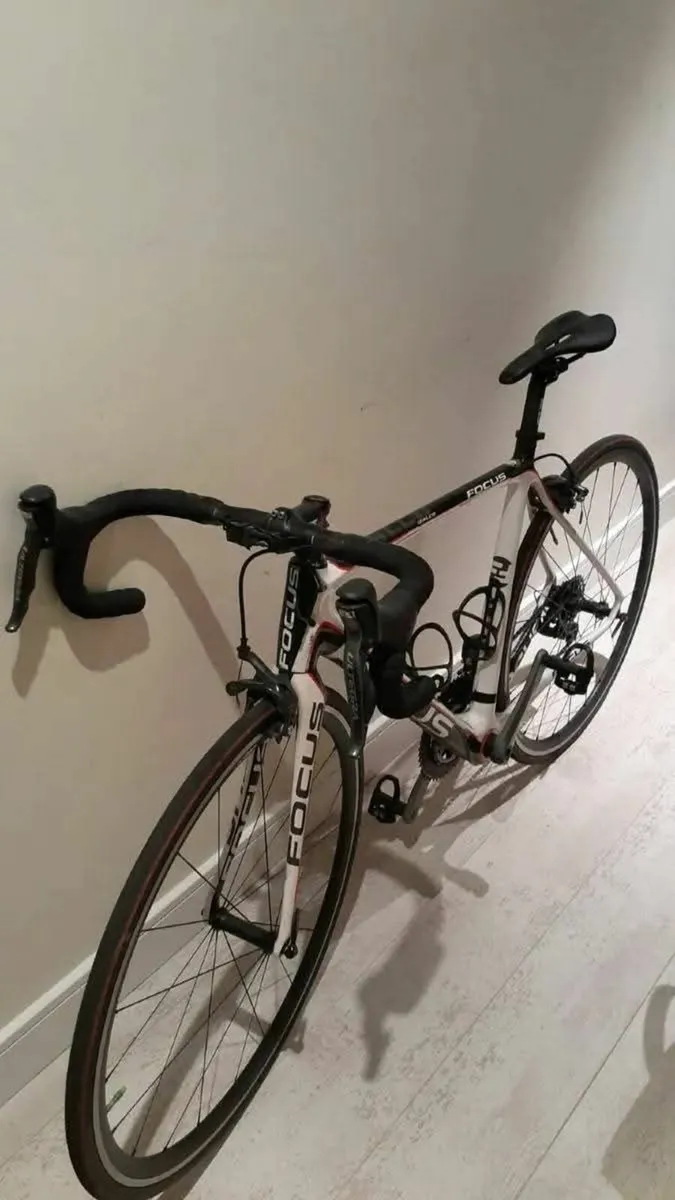 Focus Izalco Pro 2.0 - Image 4