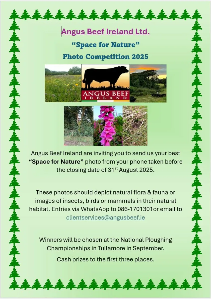 Photo Competition