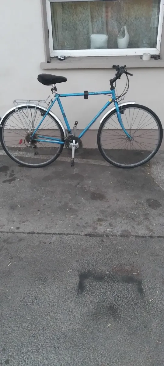 Raleigh 28inch bike price too sell - Image 1
