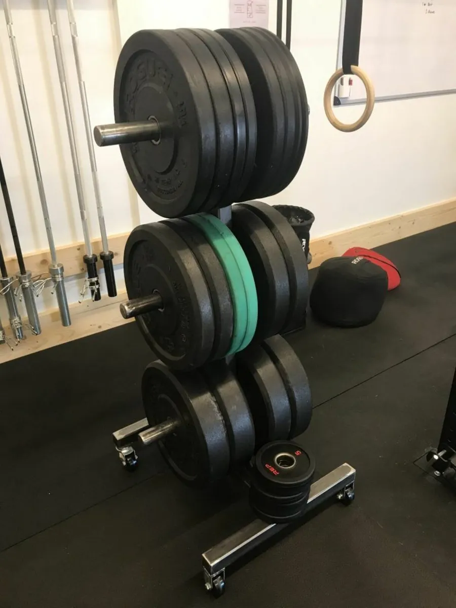 Custom Steel Gym Equipment - Image 1