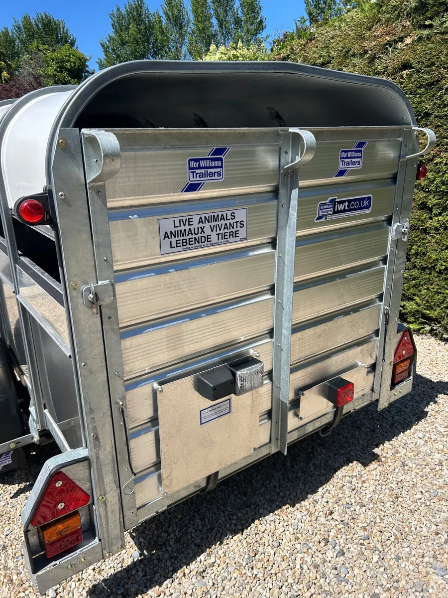 2023 Ifor Williams P8G Braked Single Axle - Image 4