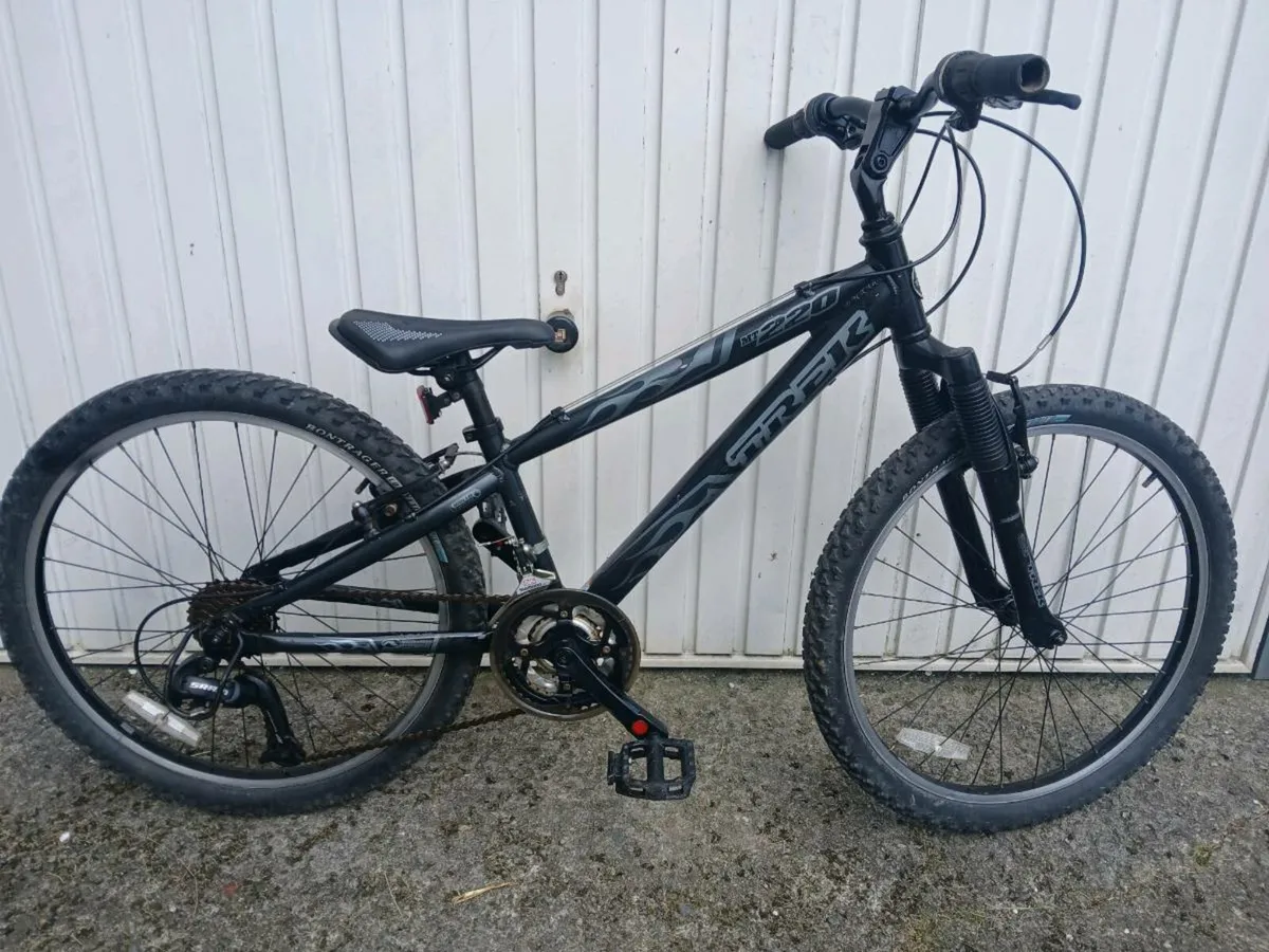 Large selection of kids & adults bikes all sizes - Image 1