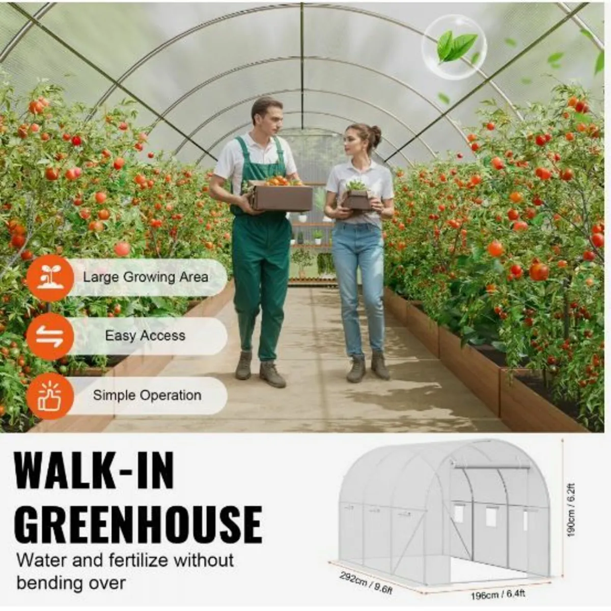 Walk-in Tunnel Greenhouse - Image 4