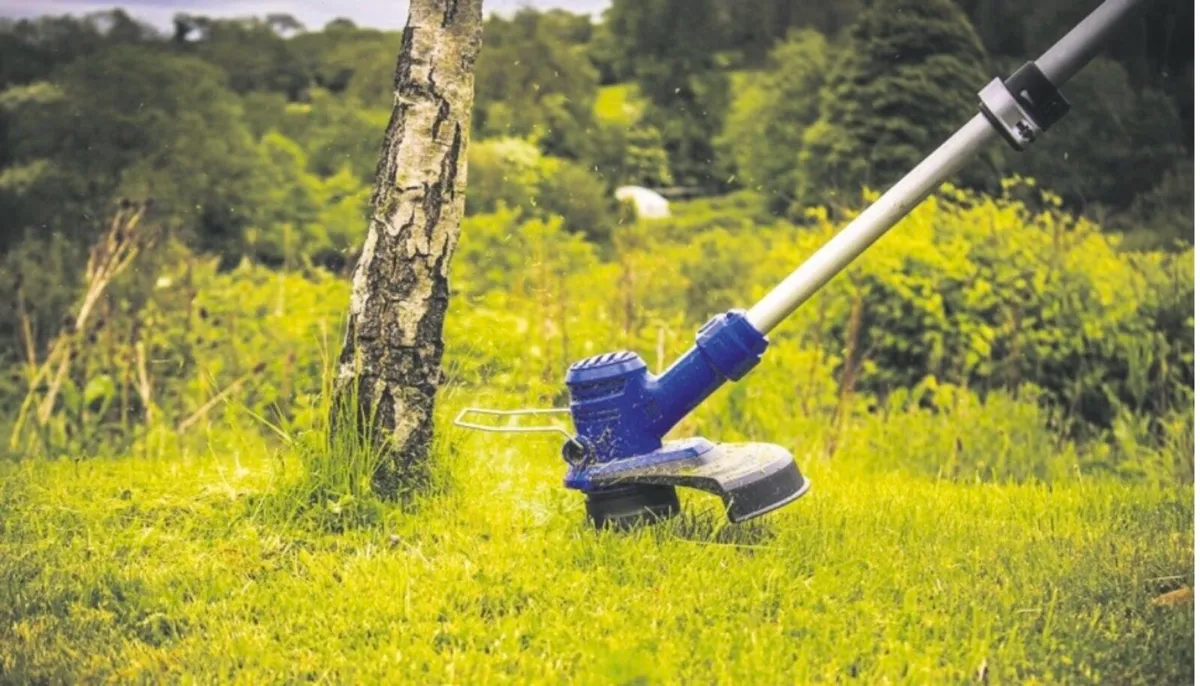 Grass cutting/strimming/hedge cutting - Image 2