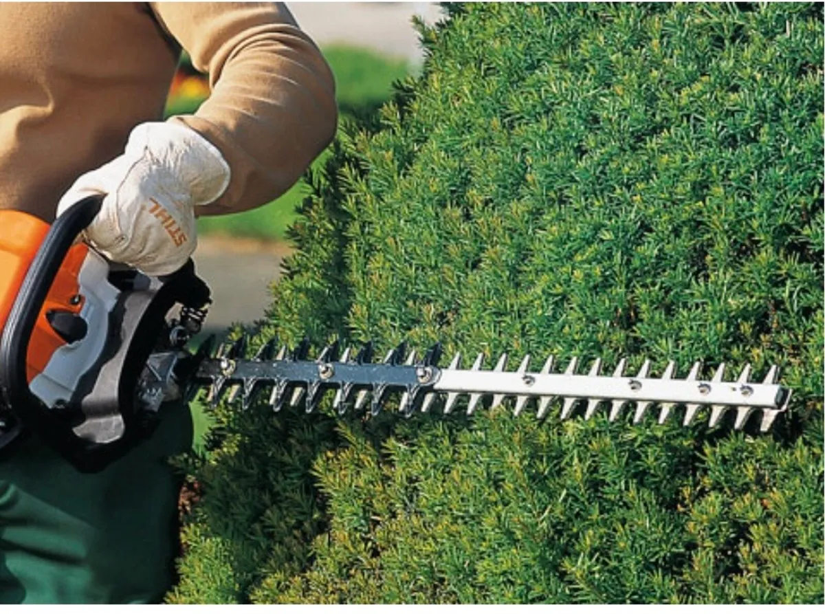 Grass cutting/strimming/hedge cutting - Image 3