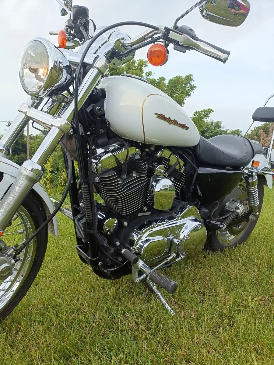 HARLEY DAVIDSON Custom 1200 (3000km) - Image 2