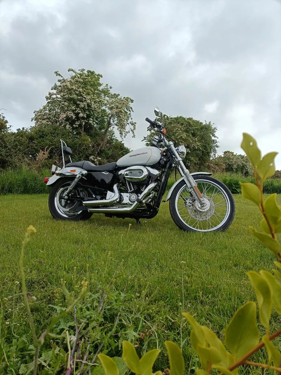 HARLEY DAVIDSON Custom 1200 (3000km) - Image 1