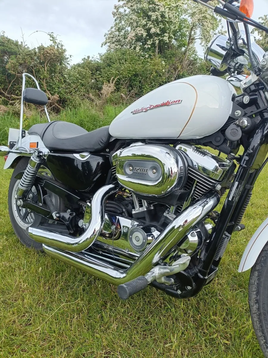 HARLEY DAVIDSON Custom 1200 (3000km) - Image 3