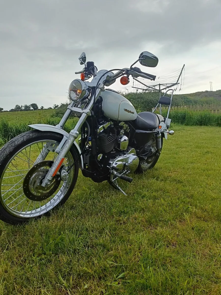 HARLEY DAVIDSON Custom 1200 (3000km) - Image 4