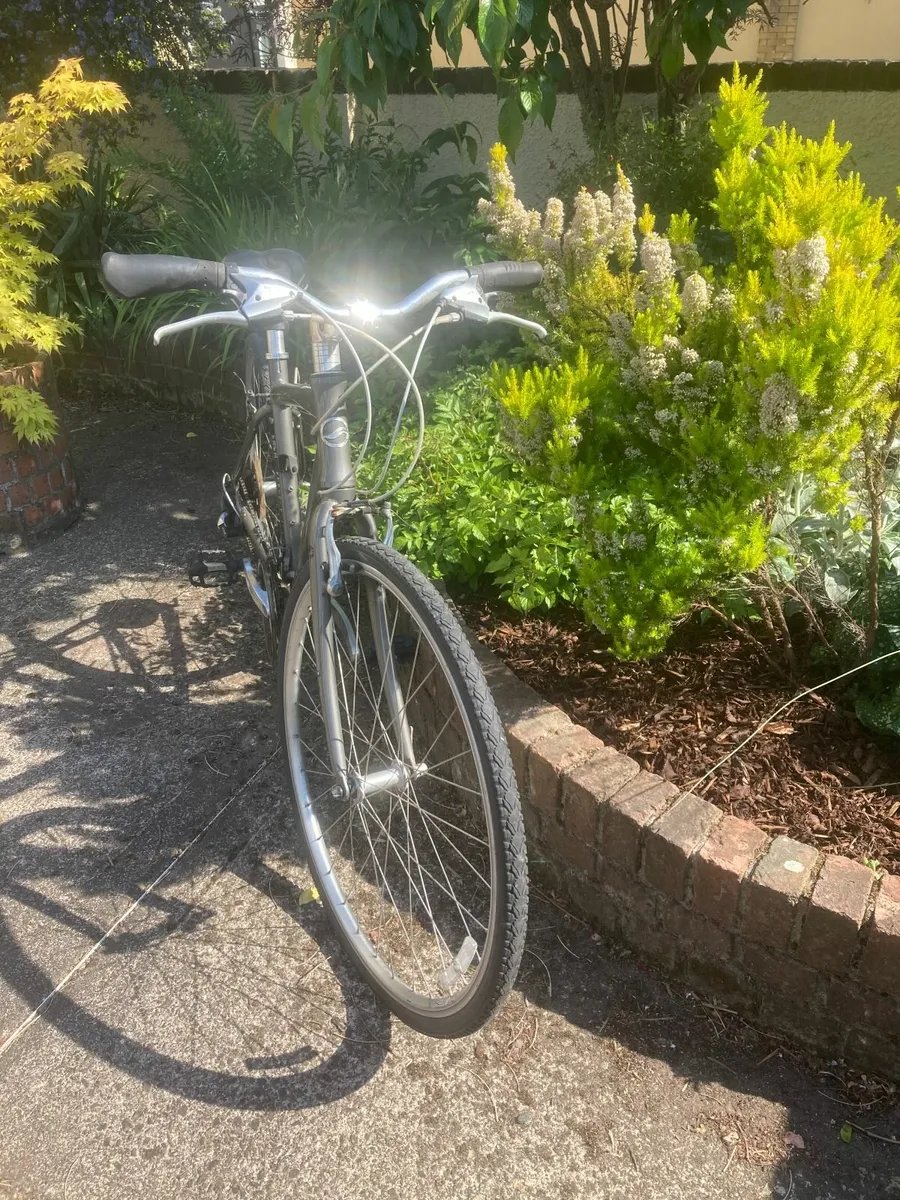 Hybrid Bicycle - M Size Frame - Image 2