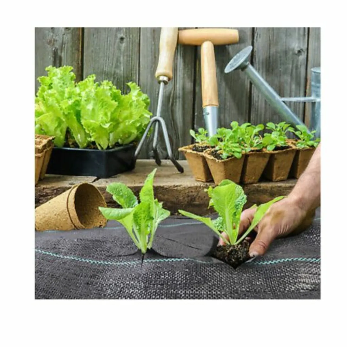 Weed Control Fabric 100gsm – 2.0m x 50m - Image 4