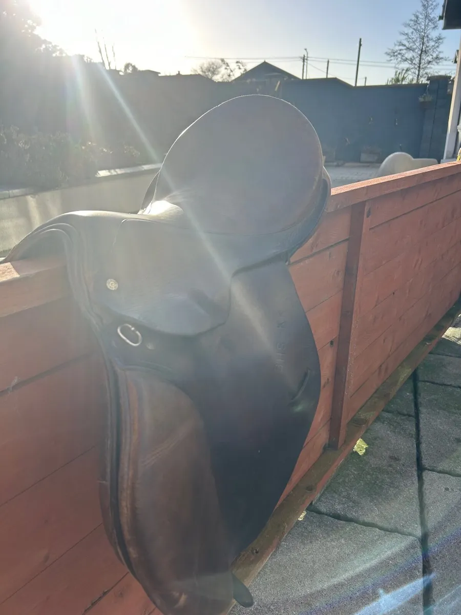 Saddle - Image 1