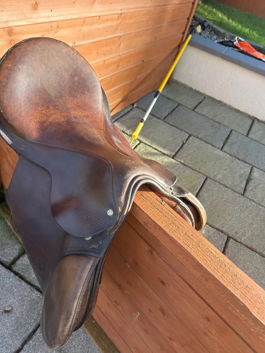 Saddle - Image 2