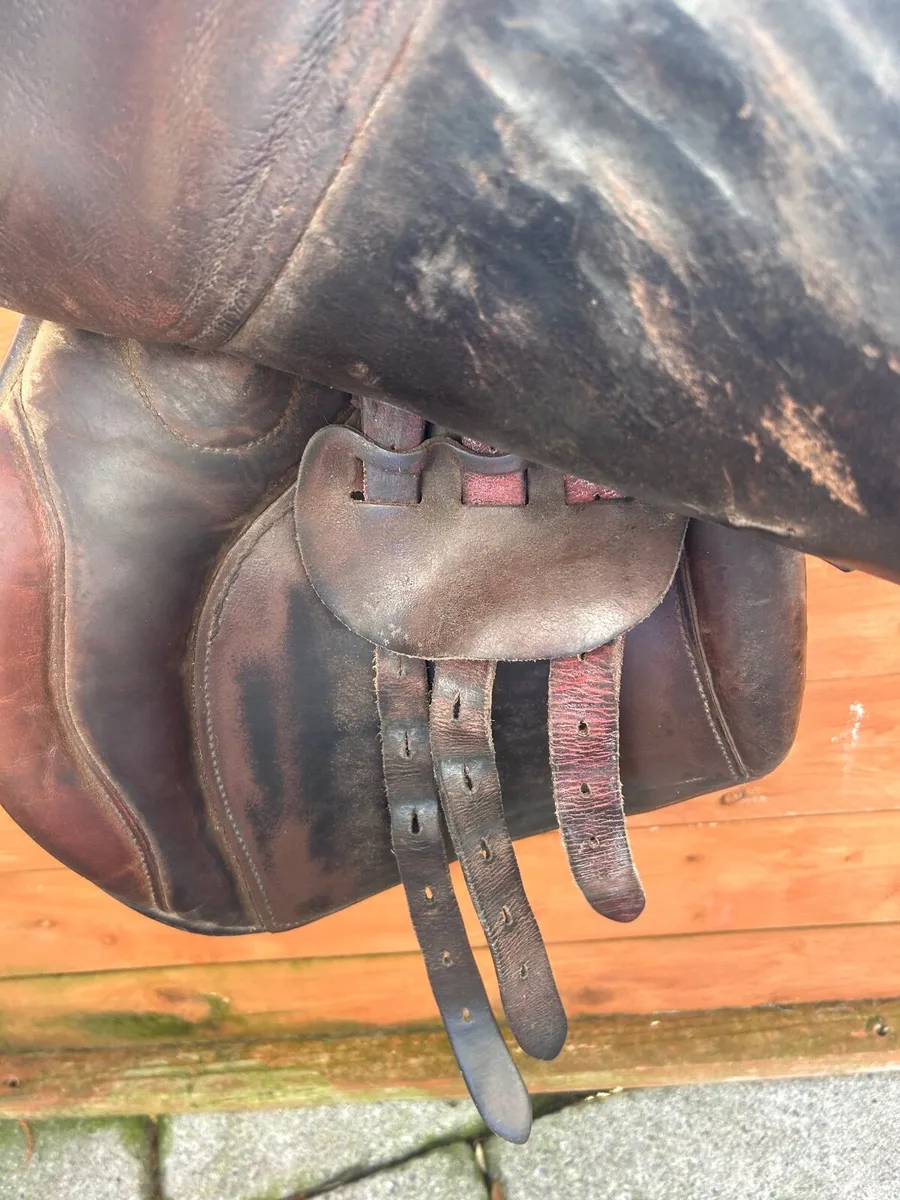 Saddle - Image 3