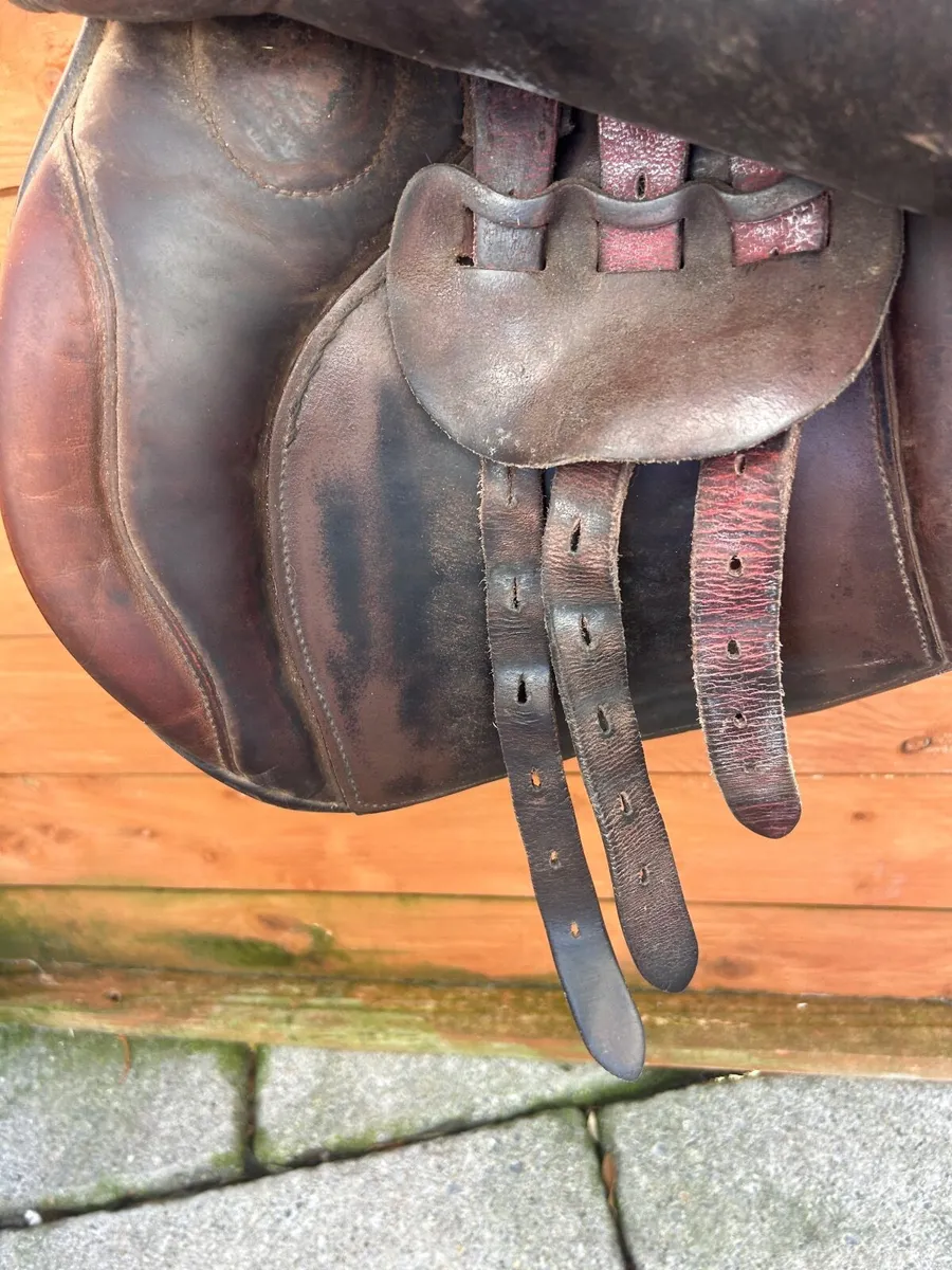 Saddle - Image 4