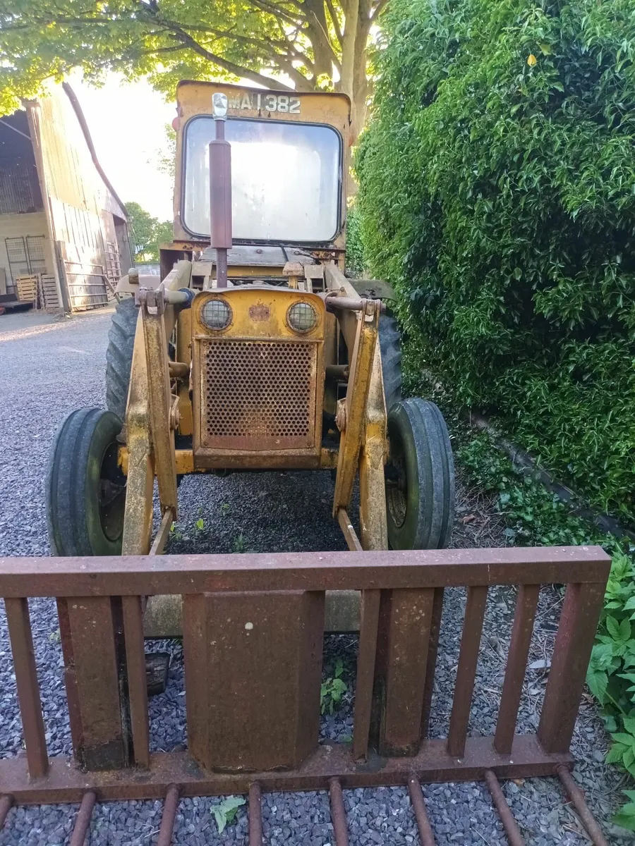 International wain roy digger - Image 3