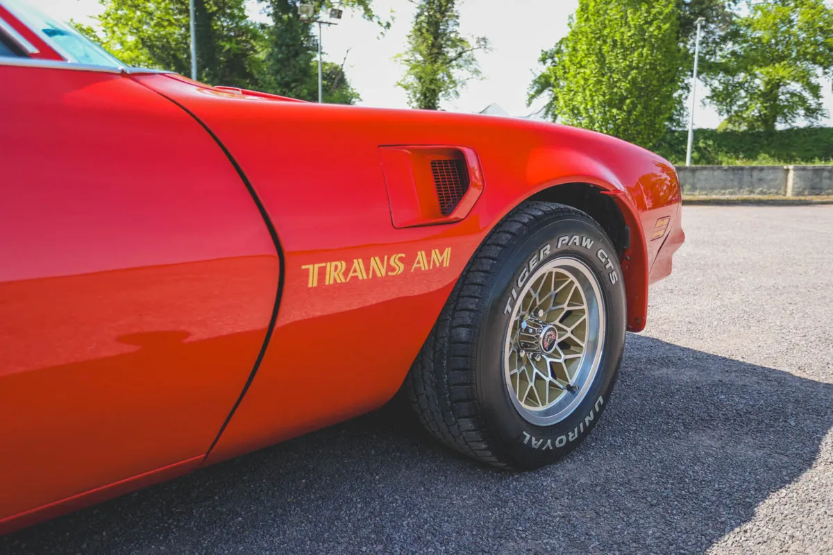 1977 Pontiac Firebird Trans Am (Just 60k miles) - Image 3