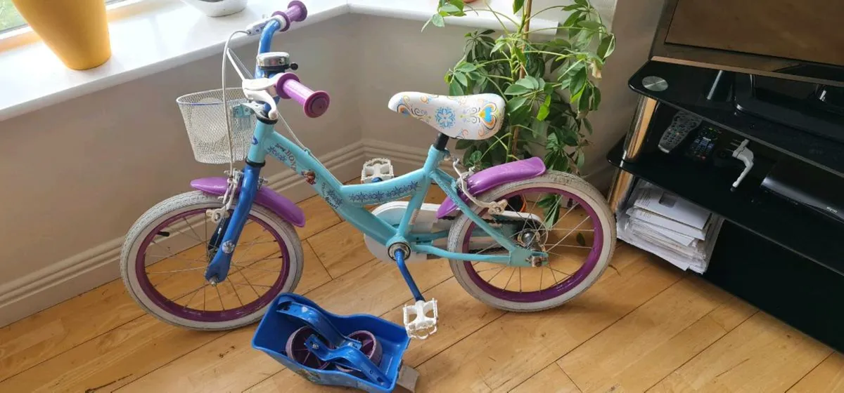 Frozen bike - Image 1