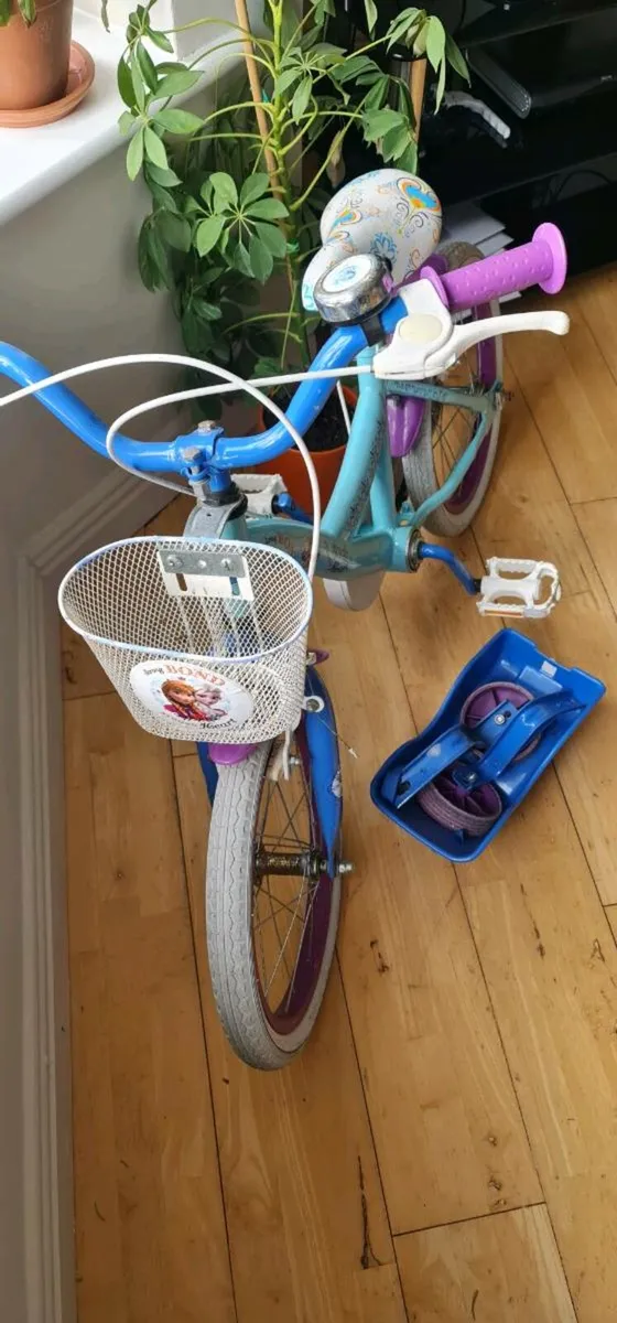 Frozen bike - Image 2