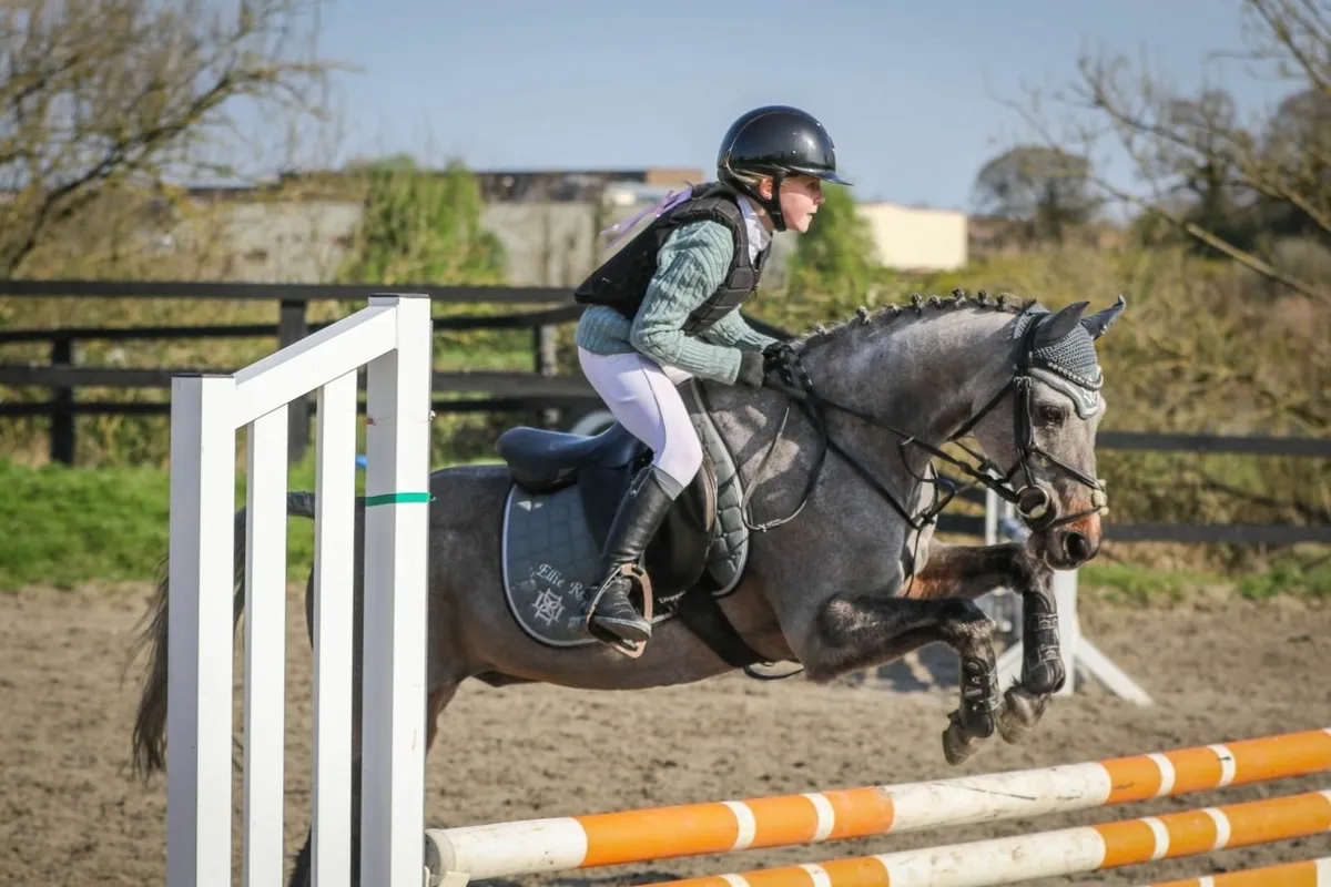 Pony - Image 1