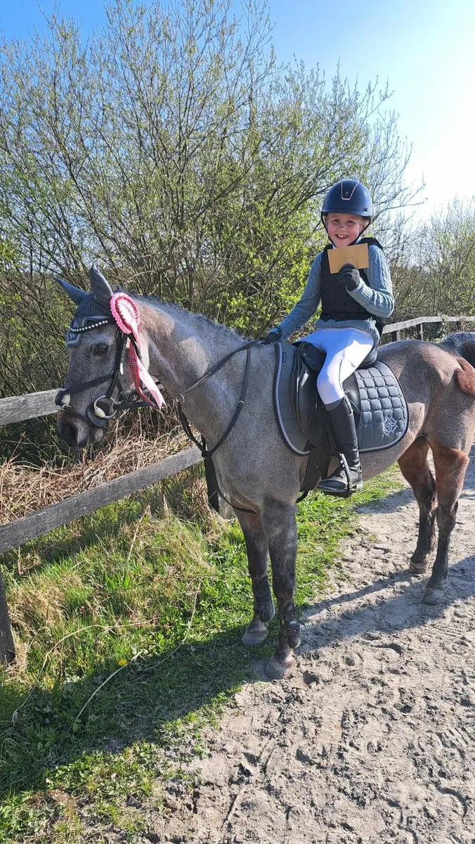 Pony - Image 3