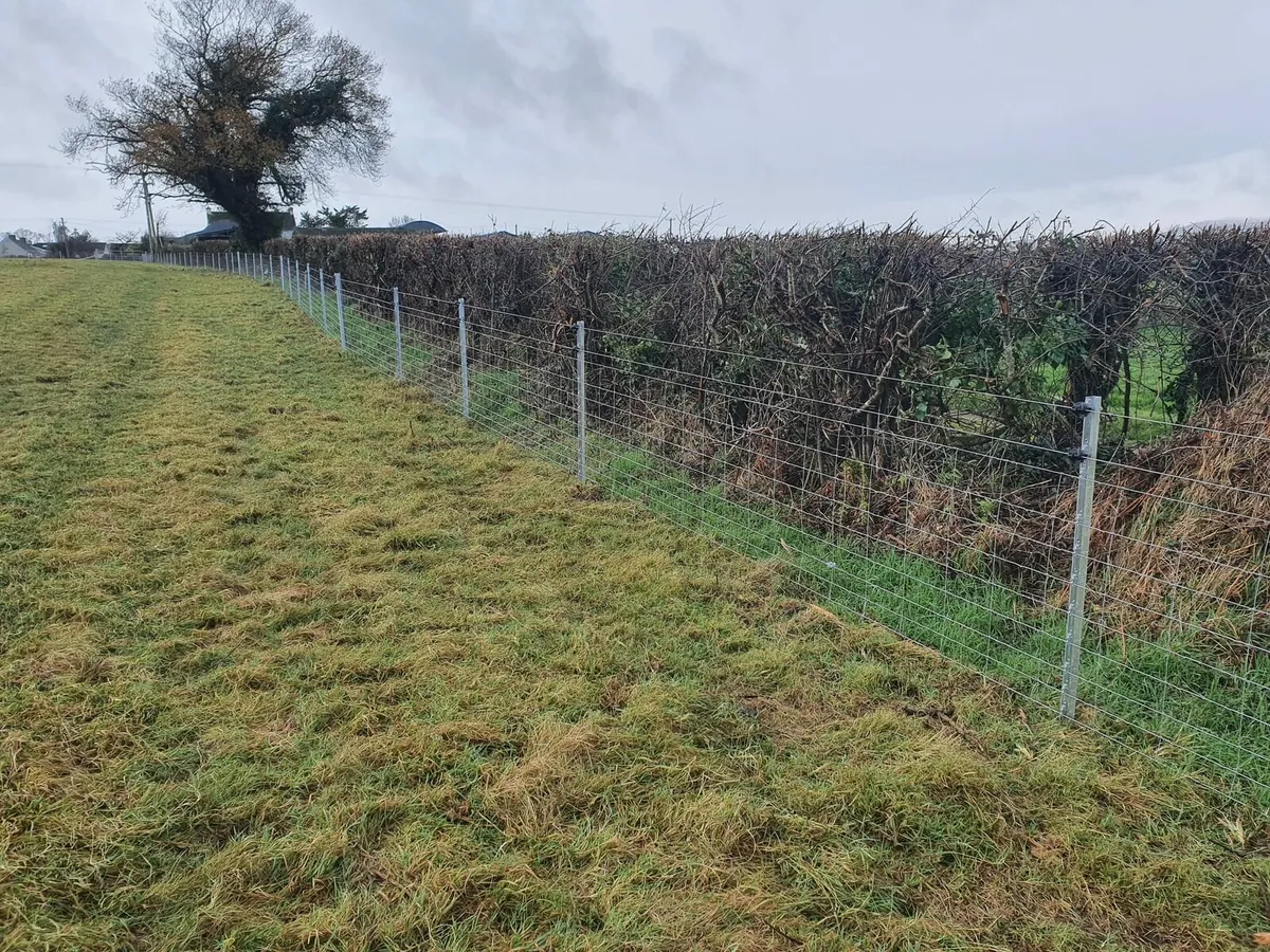 Clipex Fencing Contractors - Image 2
