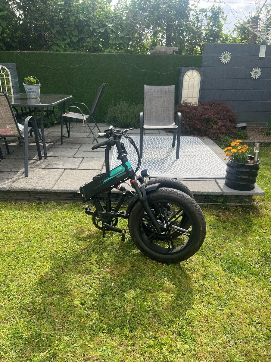 Fiido M1 Pro fat tire E-Bike - Image 3