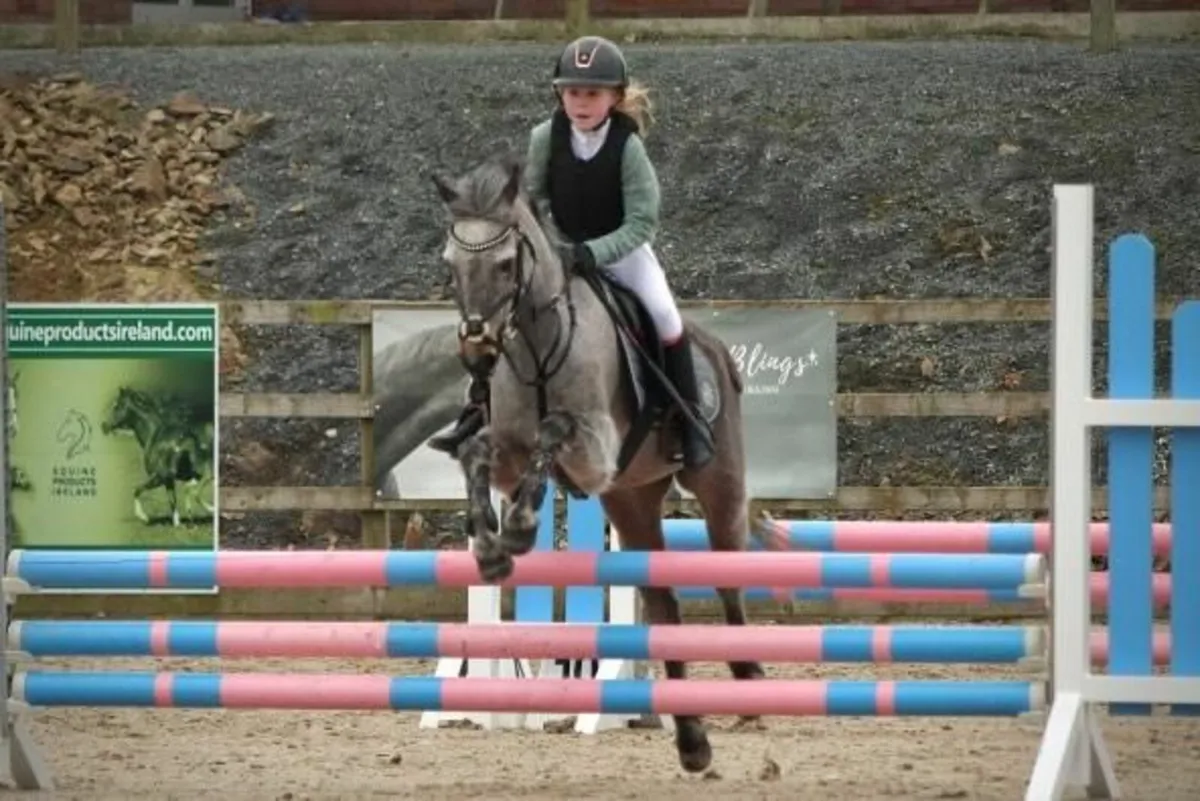 Pony - Image 2