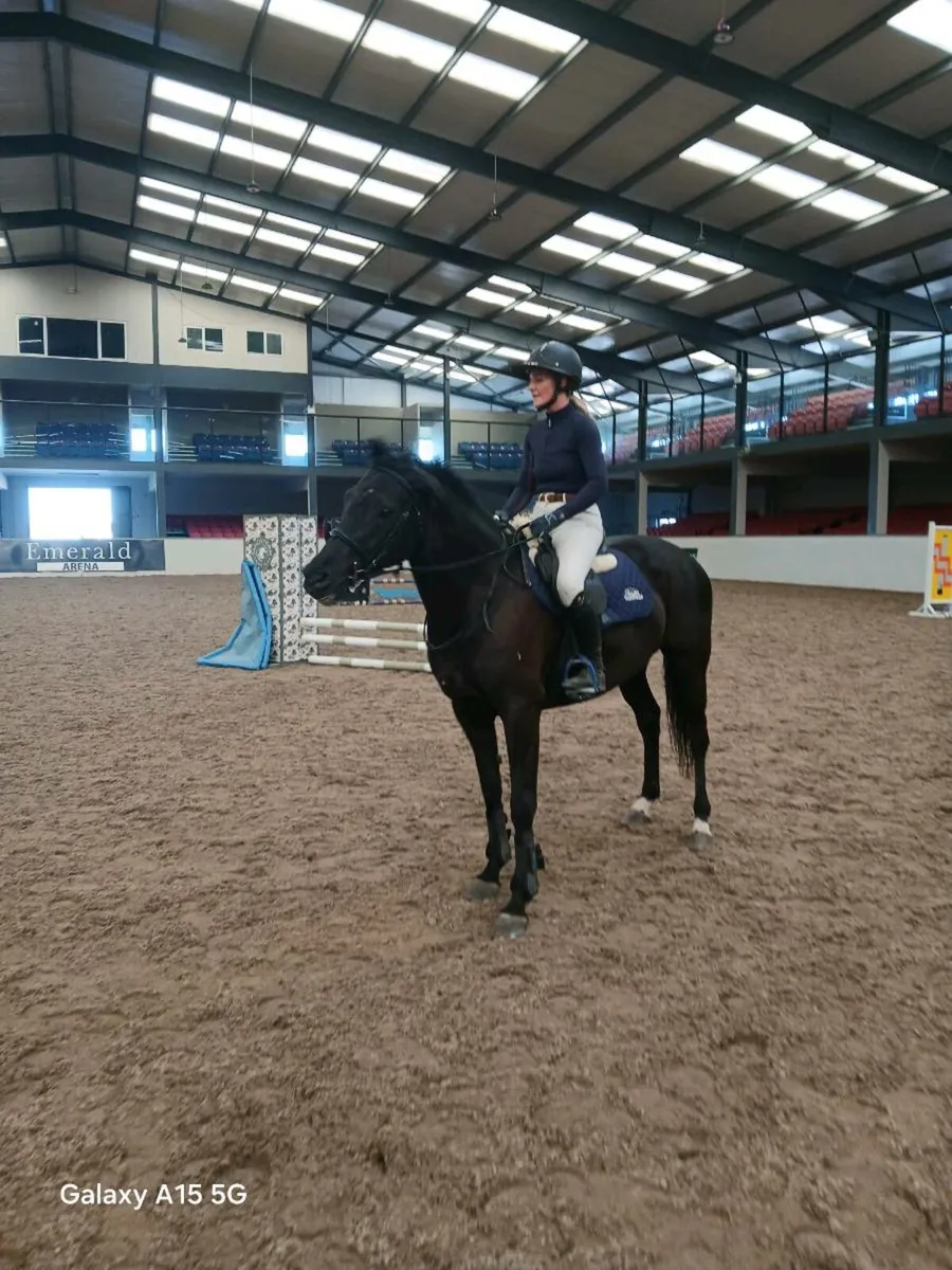 Horse - Image 1