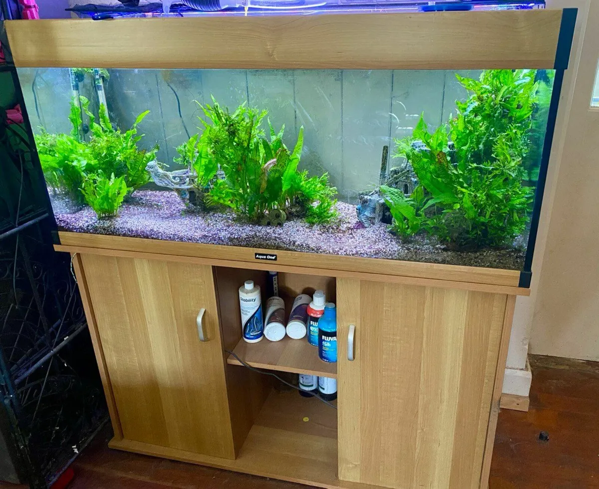 Fish Tanks - Image 3