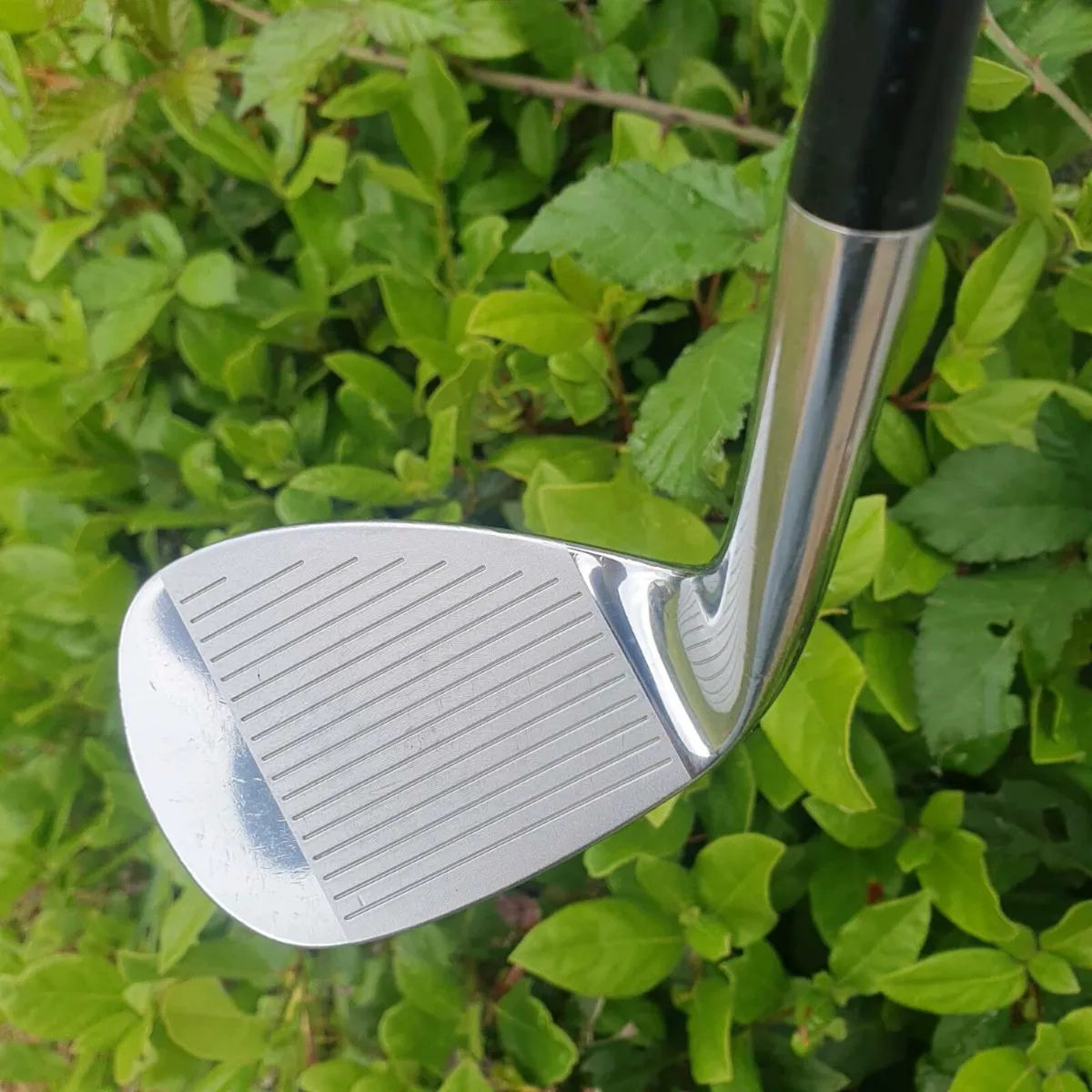 Mint king cobra sb wedge - Image 4