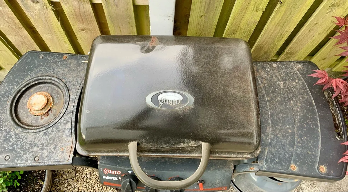 Gas BBQ - Image 2