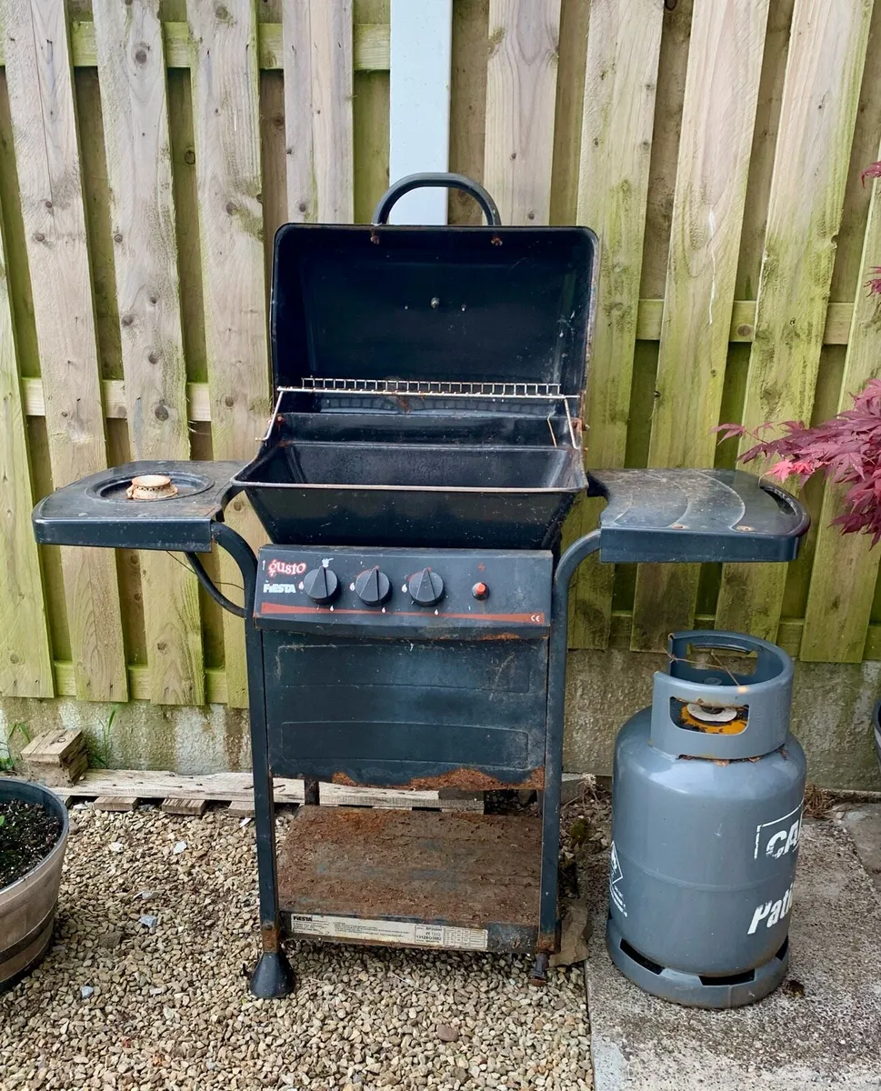 Gas BBQ - Image 1