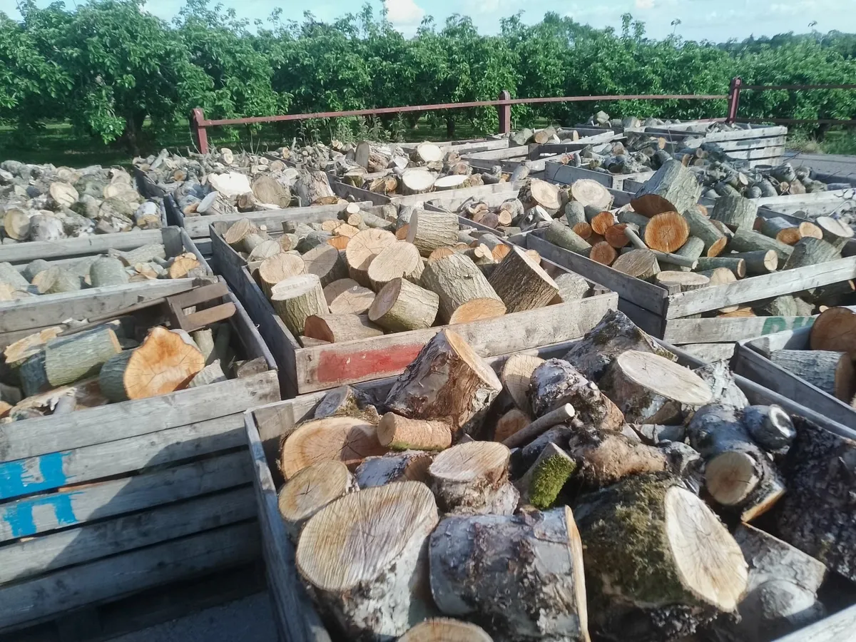 Firewood