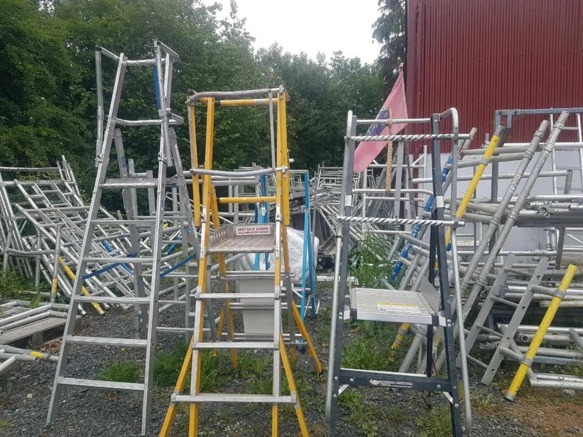 Ladders and platform ladders - Image 1